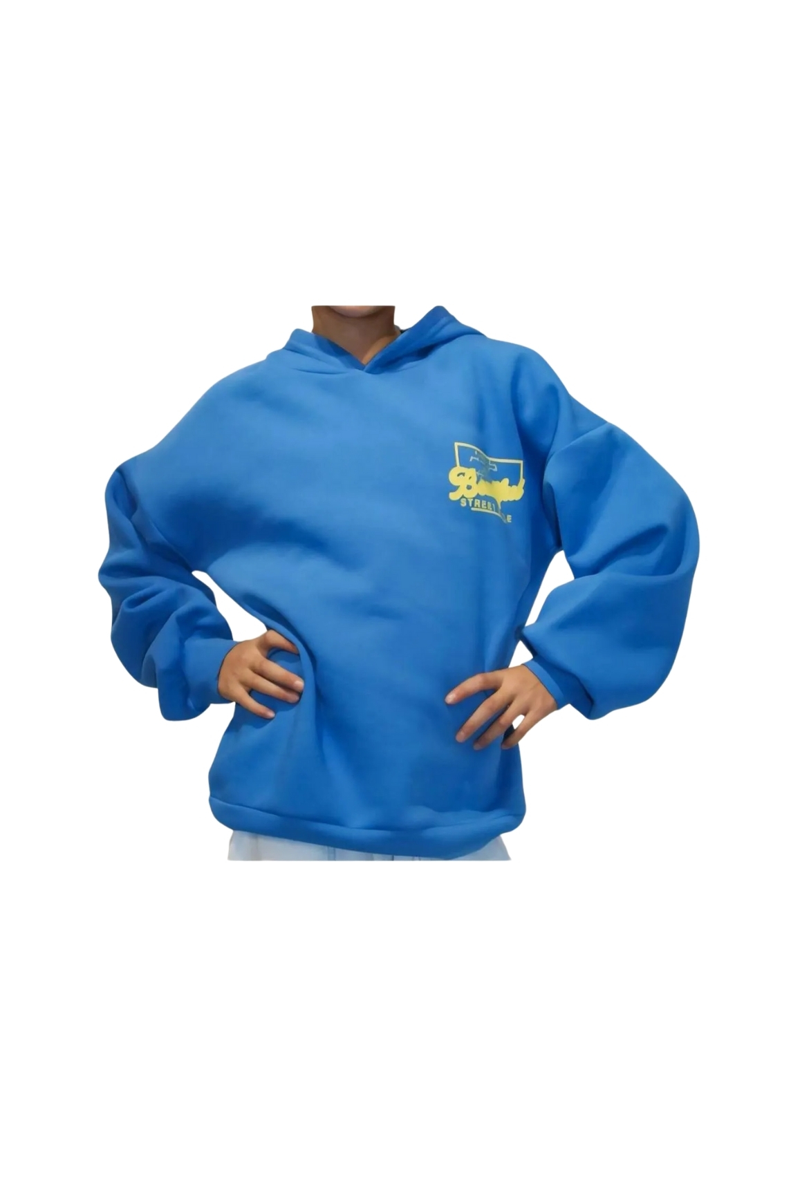 Kız Çocuk Kapüşonlu Beautiful Baskılı 3 İplik Kışlık Yüksek Kalite Sweatshirt